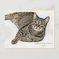 Tabby Cat "Nobody Ever Owns A Cat" | Postcard