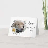 *~* AP61 Sad Lab Retriever Flower Sorry Jerk Card