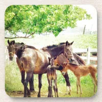 Mares and Foals Beverage Coaster