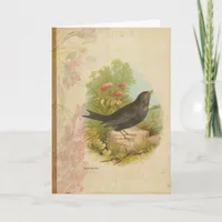 Vintage Blackbird Birthday Card