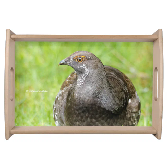 Beautiful Sooty Grouse in the Grass Serving Tray