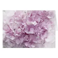 Soft Pink Hydrangea Blossom