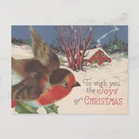 Vintage Christmas Bird Holiday Postcard