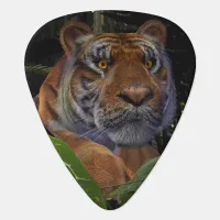 Tiger Crouching in the Jungle Guitar Pick