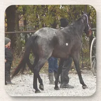 A New Horse Beverage Coaster