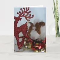 Merry Christmas!  Guinea Pig with reindeer Holiday Card
