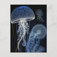 Jellyfish Postcard