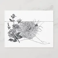 Vintage Spider Web and Rose Postcard