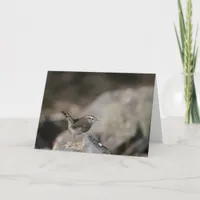 Wren Card