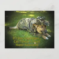 Halloween Dog in Camouflage Postcard