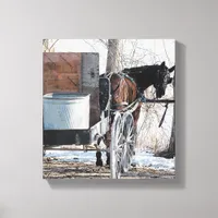 Looking Back Canvas Print