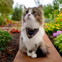 Colorful,Extravagant,Purple and Gold  Pet Bandana Collar