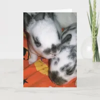 Halloween Bunnies Card