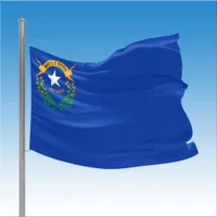 State of Nevada House Flag