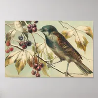 Vintage Bird and Berries Poster