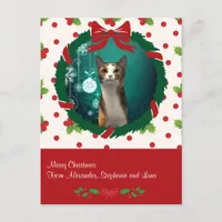 Merry Christmas Wreath and Holly Custom Pet Photo Postcard