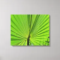 Canvas Print - Palm Frond