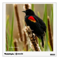 Red-Winged Blackbird on the Bulrush Wall Sticker