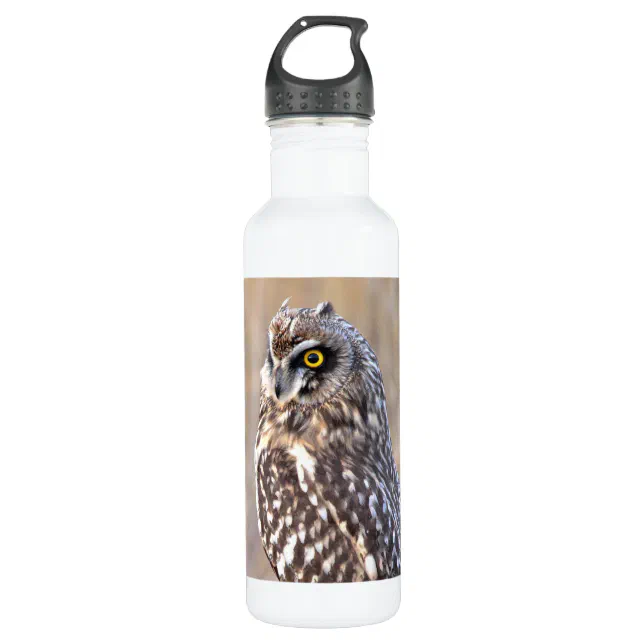 Portrait of a Short-Eared Owl in the Marshes Stainless Steel Water Bottle