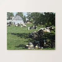 Lazy Cows Sitting under a Tree on Farm Jigsaw Puzzle