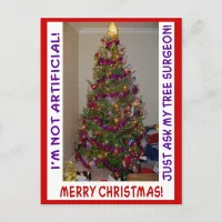 A Real Christmas Tree Holiday Postcard