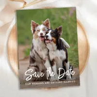 Dog Wedding Personalized Pet Photo Save The Date Announcement Postcard