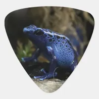 Blue Poison Arrow Frog Tarot Card Deck Guitar Pick