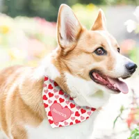 Red Hearts Cute Custom Name Pet Bandana Collar