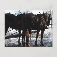 At the Hitching Post Postcard