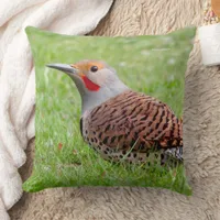 Stunning Northern Flicker Foraging in the Grass Throw Pillow