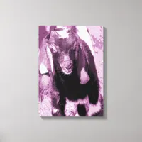 Goat Kid in Purple Shades Canvas Print