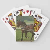 Trot On Home Poker Cards