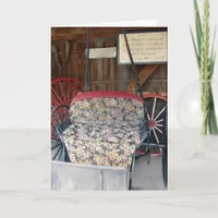 Antique Buggy Card