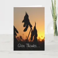 Soybeans, Give Thanks... Thanksgiving Holiday Card