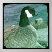 Canada Goose TTV Poster