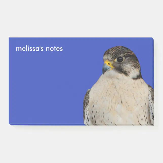 Gyrfalcon Saker Hybrid Falcon Post-it Notes