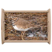 Killdeer in the Freezing Mudflats Serving Tray