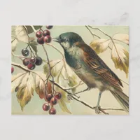 Pretty Vintage Bird Postcard