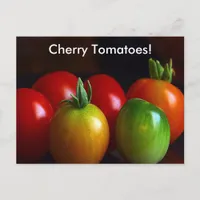 Cherry Tomatoes Postcard