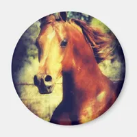 Sorrel Arabian Magnet