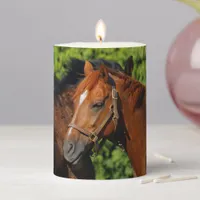Two Beautiful Chestnut Horses in the Sun Pillar Candle