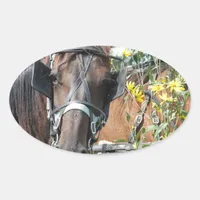 Waiting amish horse oval sticker