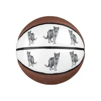 Grey kitten mini basketball