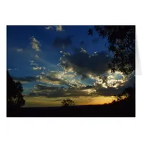 Living Art Sunset Silhouettes