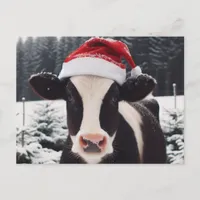 Adorable Dairy Cow in a Santa Hat Postcard