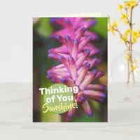 Pretty Pink Purple Matchstick Plant Flower Card