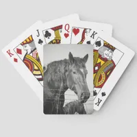 Horses Behind the Fence in Black and White Poker Cards