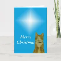 Card - Greeting - Christmas star