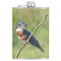 Female Belted Kingfisher Out on a Limb Flask