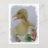 Gosling Postcard